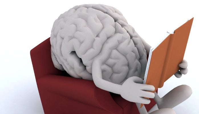 BrainTree Nutrition-Blog-The Dynamic Trio