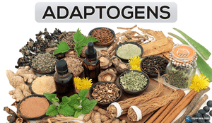 Adaptogens and Their Role in Stress Reduction