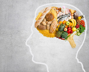 Nourishing the Mind: Comparing Childhood vs. Adult Brain Nutrition Needs