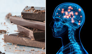 The Power of Dark Chocolate: Unveiling the Cognitive Benefits of Cacao on the Brain