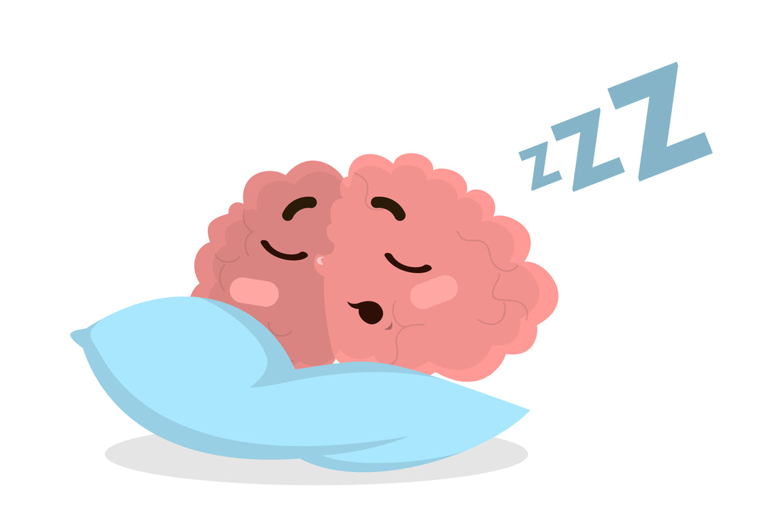 BrainTree Nutrition-Blog-Get Some Sleep!