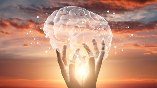 BrainTree Nutrition-Blog-Boost Your Brainpower with Astragalus Root Extract