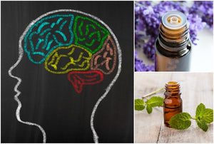 The Aromatic Symphony: Exploring Essential Oils and Cognitive Enhancement