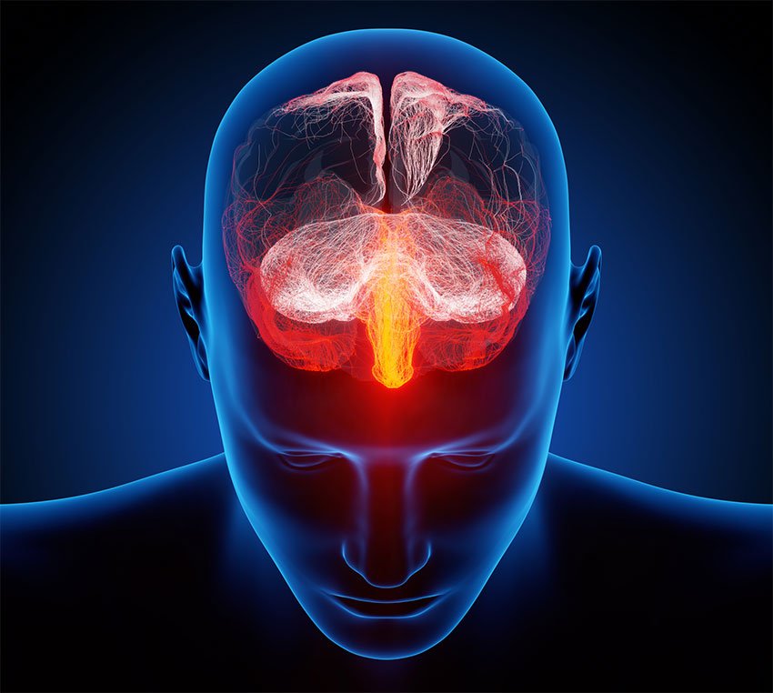 BrainTree Nutrition-Blog-The Intricate Interplay