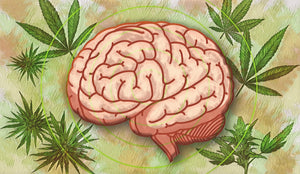 Weed and Brain Health