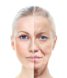 Anti-Aging for the brain