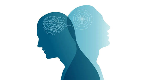 BrainTree Nutrition-Blog-Best brain supplements for memory and focus