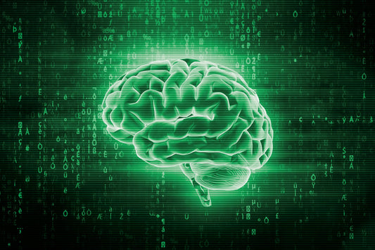 BrainTree Nutrition-Blog-Memory and Focus Supplements