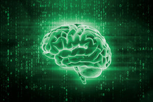Memory and Focus Supplements