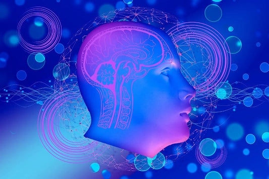 BrainTree Nutrition-Blog-Psychedelics