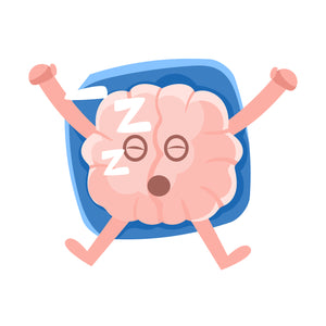 Sleep Soundly, Restore Your Mind - BrainTree Nutrition