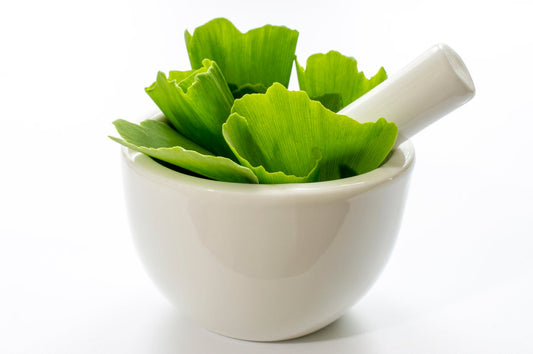 BrainTree Nutrition-Blog-Ginkgo Biloba: Ancient Herb