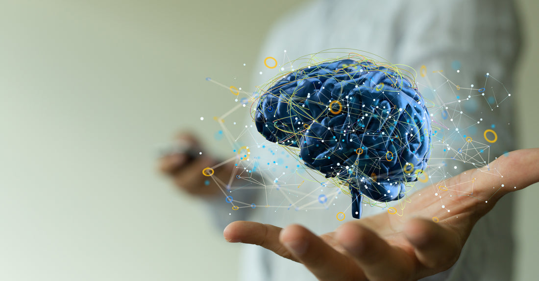 BrainTree Nutrition-Blog-Brain Water Electrolytes