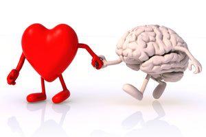 Nootropic for better brain and heart health