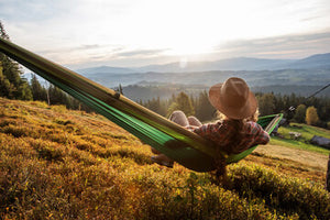 The Tangled Web of Stress: How It Impacts Your Brain and Body