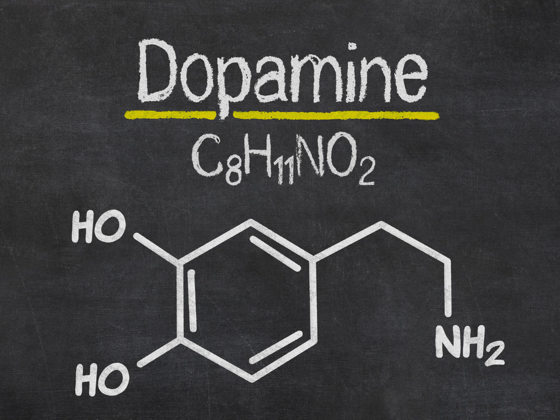 BrainTree Nutrition-Blog-Ways to replenish dopamine