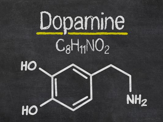 BrainTree Nutrition-Blog-Ways to replenish dopamine