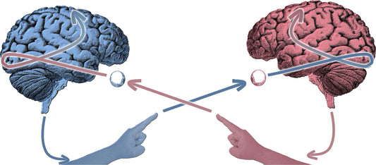 BrainTree Nutrition-Blog-The Neurological Dynamics of Social Connection