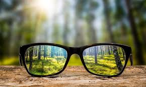 BrainTree Nutrition-Blog-Mastering Deep Work and Focus