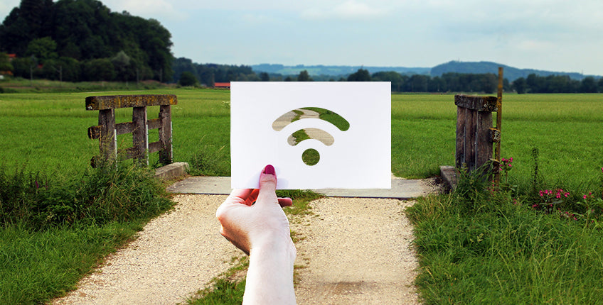 BrainTree Nutrition-Blog-Navigating the Digital World