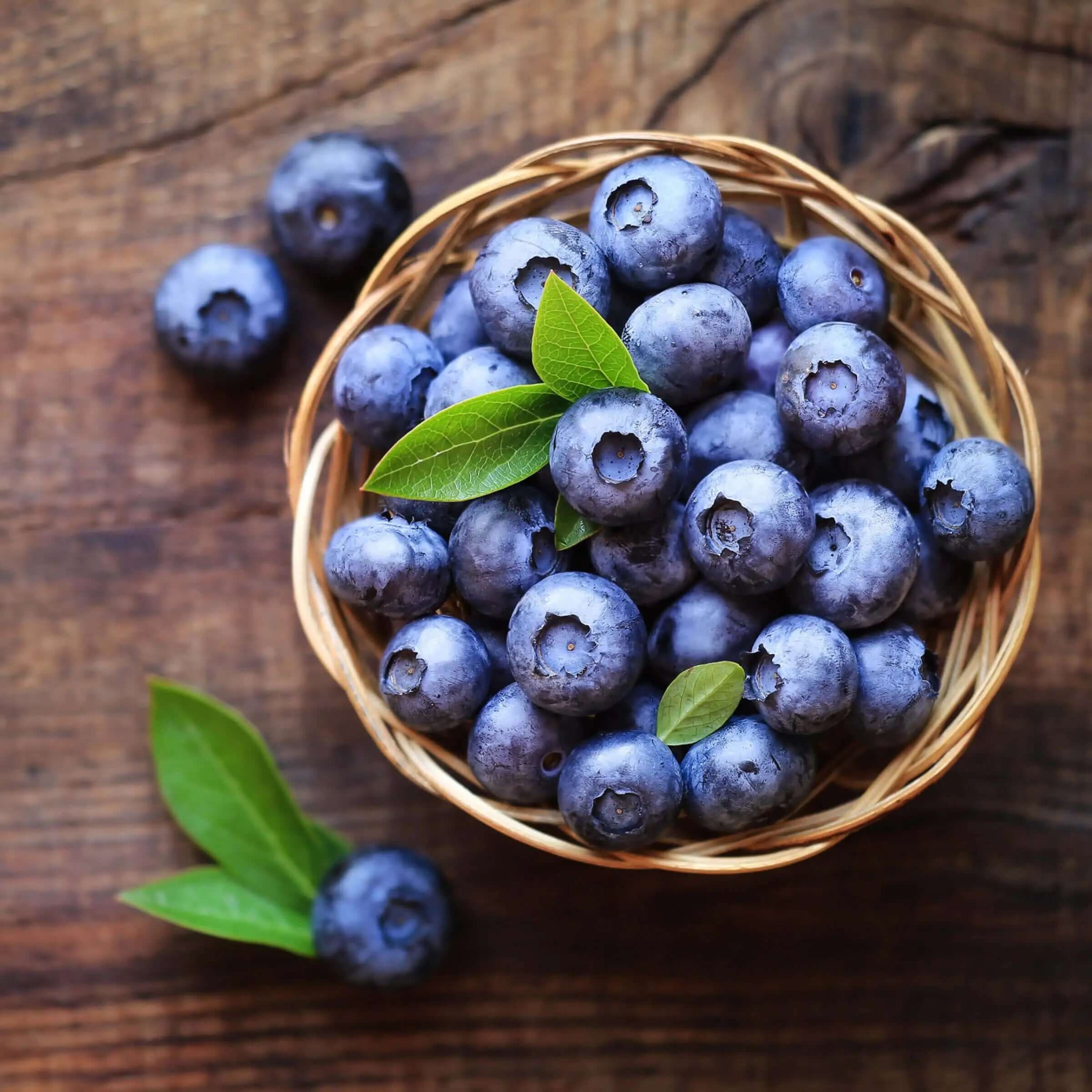 BrainTree Nutrition Supplements - Blueberry