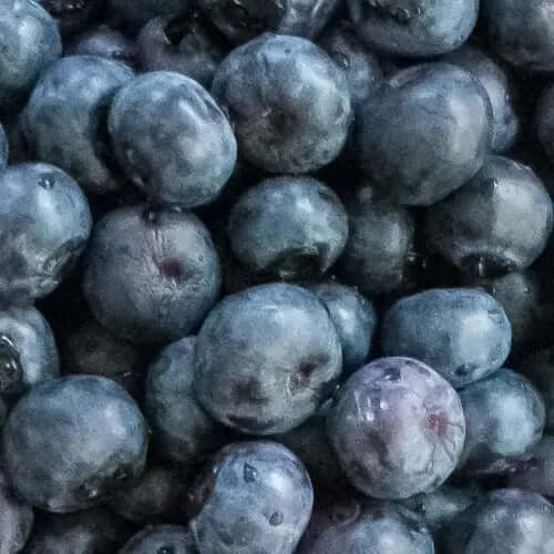 BrainTree Nutrition Supplements - Blueberry 2