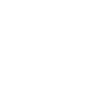 BrainTree Nutrition-Icon-Nutrients