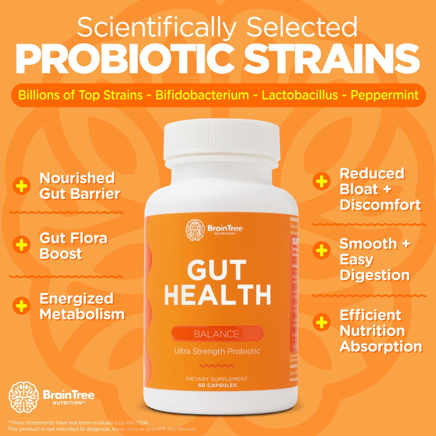 BrainTree Nutrition-Gut Health Supplement