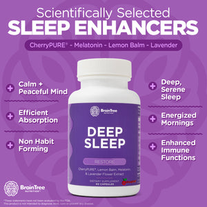 Deep Sleep: Brain-Restoring Sleep