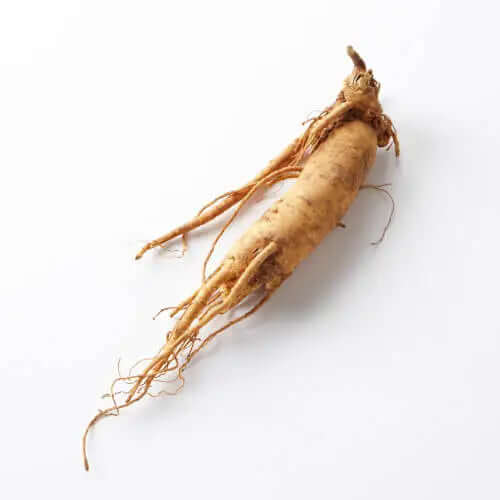 BrainTree Nutrition Supplements - Ginseng