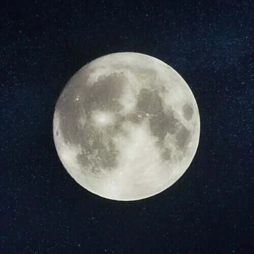 BrainTree Nutrition Supplements - Melatonin Moon