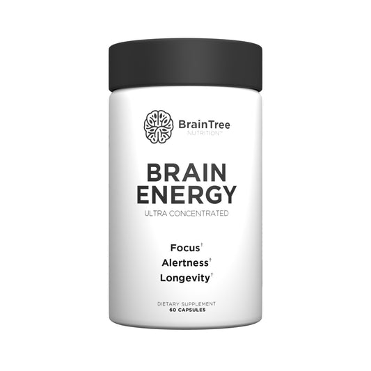 Brain Energy